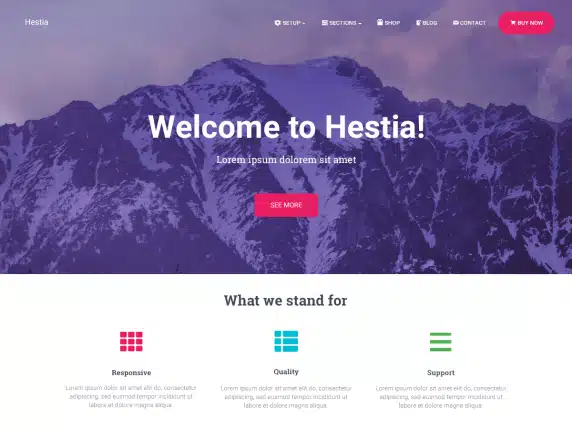 Hestia theme screenshot